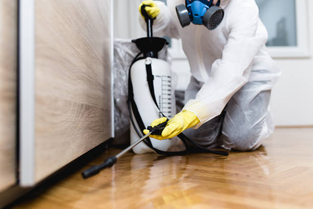 Best Termite Control Services  in Forest City, NC