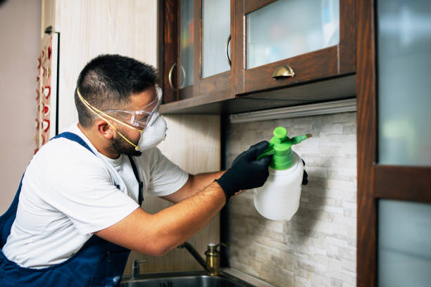 Pest Prevention Services in Forest City, NC