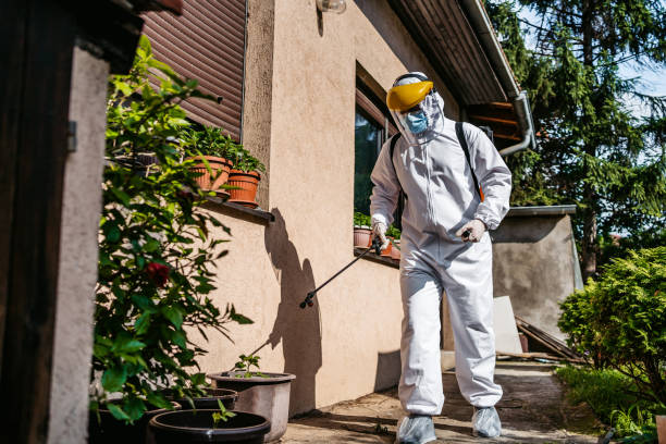 Best Mosquito Control Services  in Forest City, NC