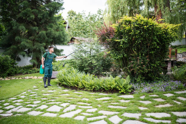 Best Pest Prevention Services  in Forest City, NC