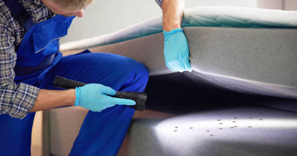 Best Exterminator Services  in Forest City, NC