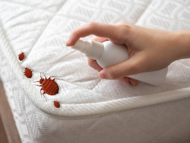 Best Pest Prevention Services  in Forest City, NC