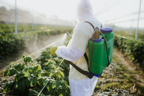 Best Flea Control Services  in Forest City, NC